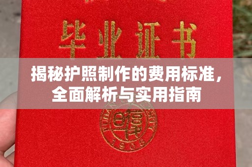和静揭秘护照制作的费用标准，全面解析与实用指南